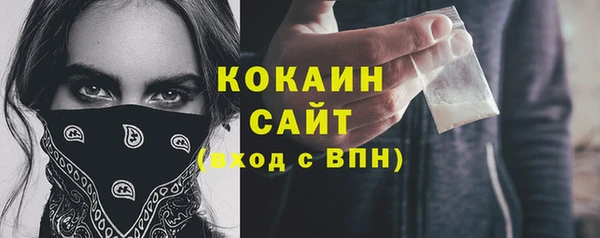 спайс Алексин