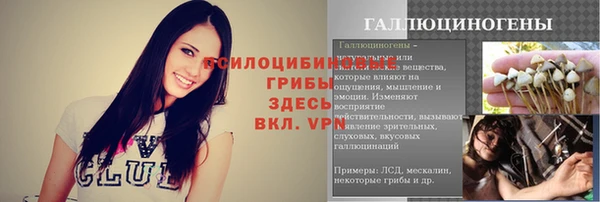 спайс Алексин