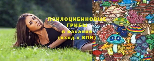 спайс Алексин